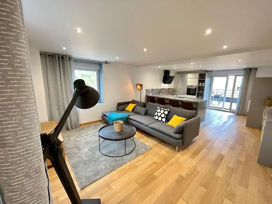 Magnifique Duplex Avec Terrasse Apartment Meyrie