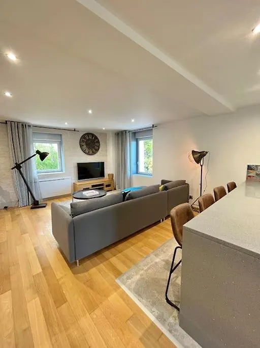 Magnifique Duplex Avec Terrasse Apartment Meyrie
